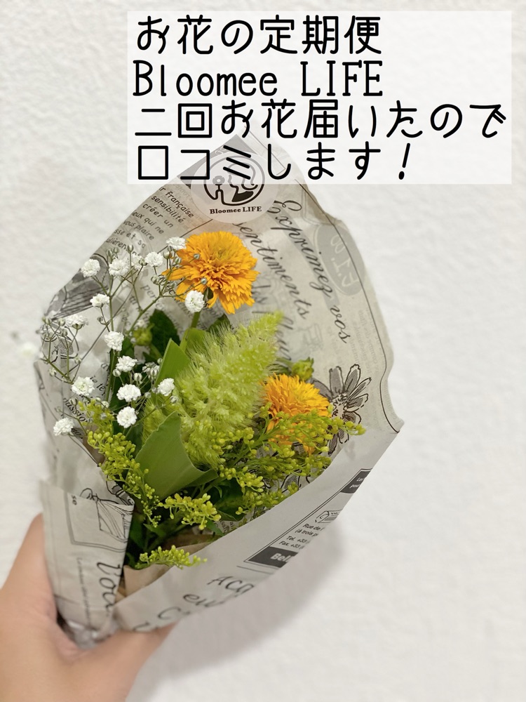 お花の定期便Bloomee LIFE正直に【口コミ】します!
