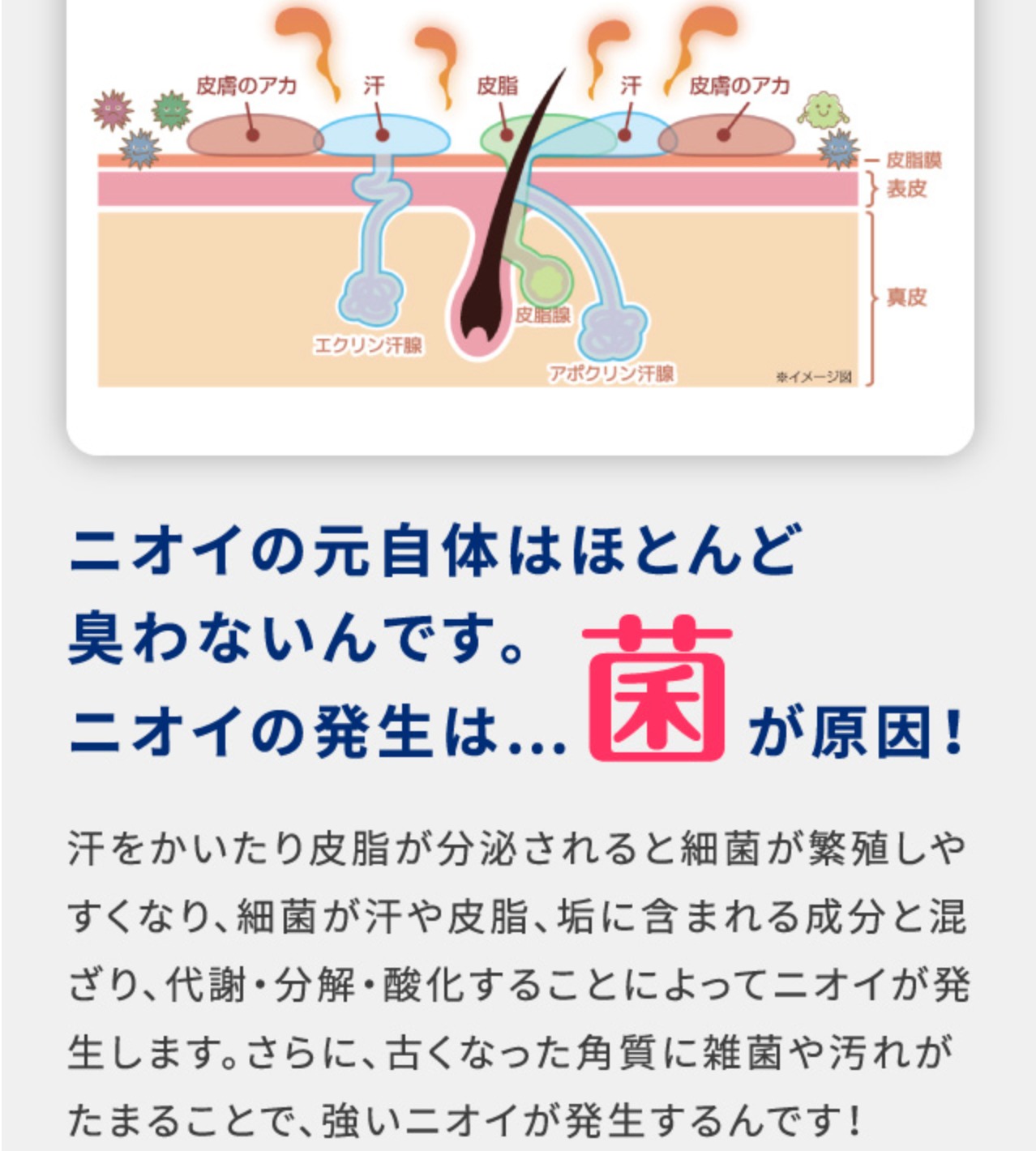665e2b59d78785c2ea4da913c1685fca