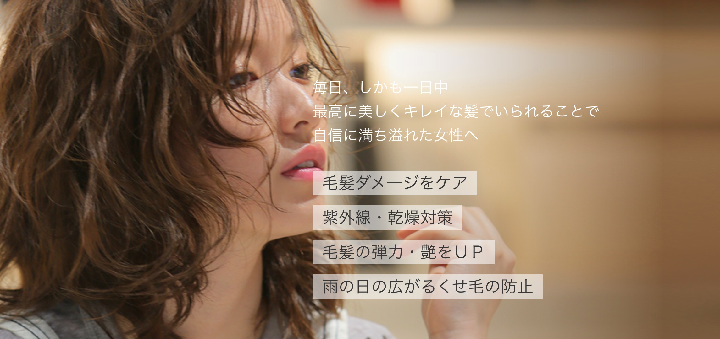6118f6908631018d4296859fc64cf1bc