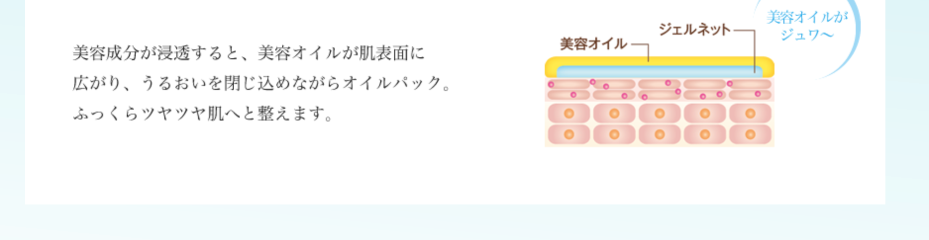 c98acfb182f8c213774a5b33c32e9d70